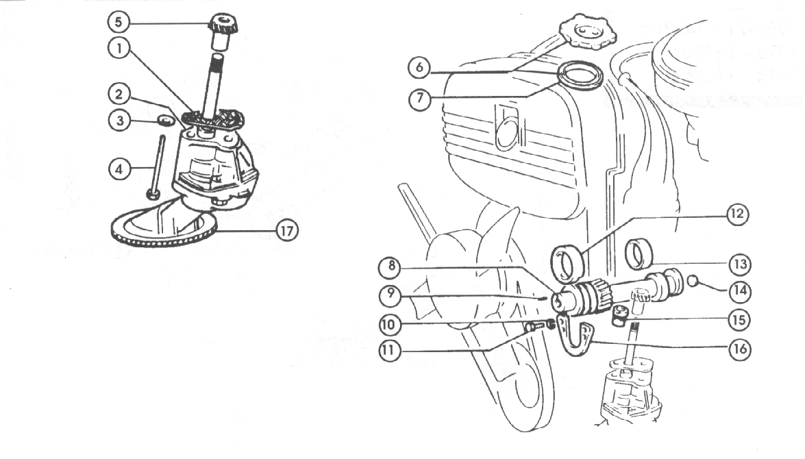 Engine - Lube. System Oil Pump & Gear